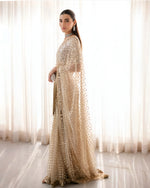 Load image into Gallery viewer, SHIKHWANI Alizeh | Saree-new-249