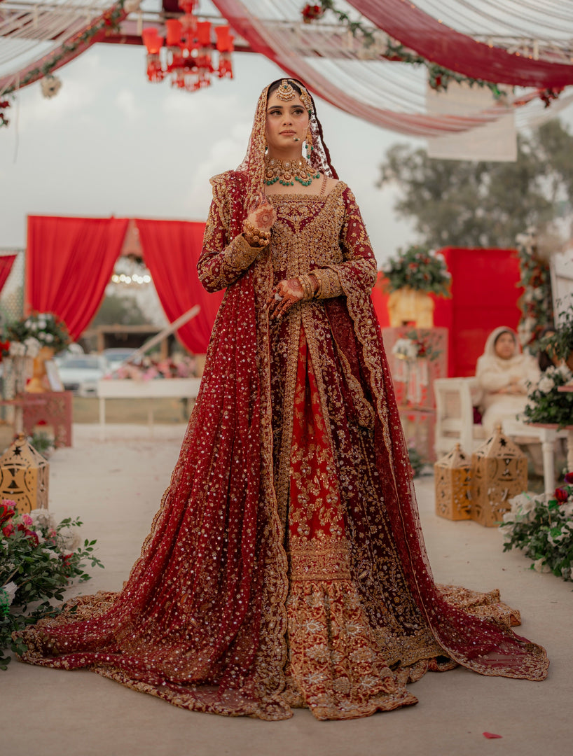 Haris Shakeel - Noor | HS-Nor-771