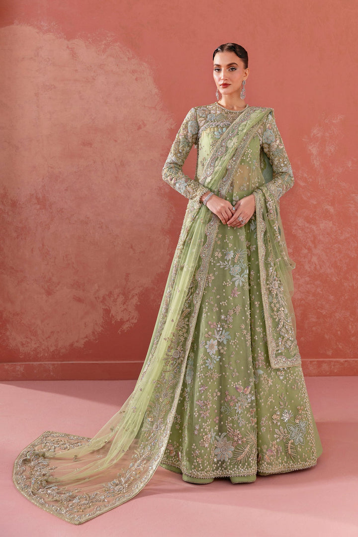 AQUIB HAYAT Zircon | AH-Zir-281