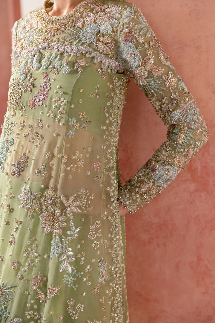 AQUIB HAYAT Zircon | AH-Zir-281