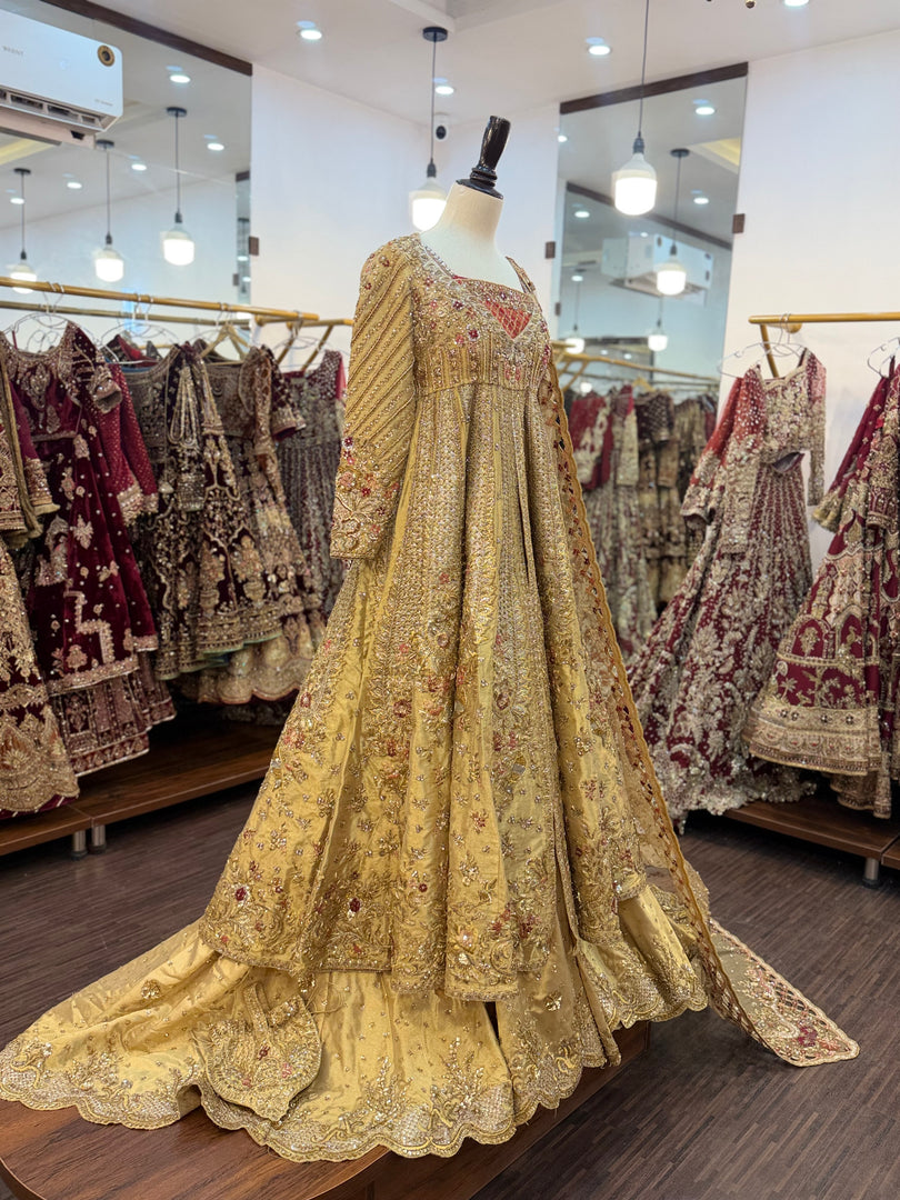 Tena Durrani 2026 | TD-golden - 555)
