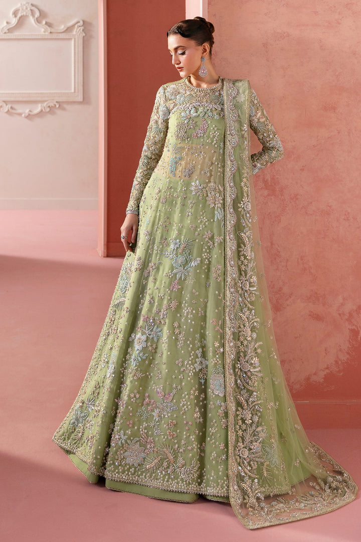 AQUIB HAYAT Zircon | AH-Zir-281