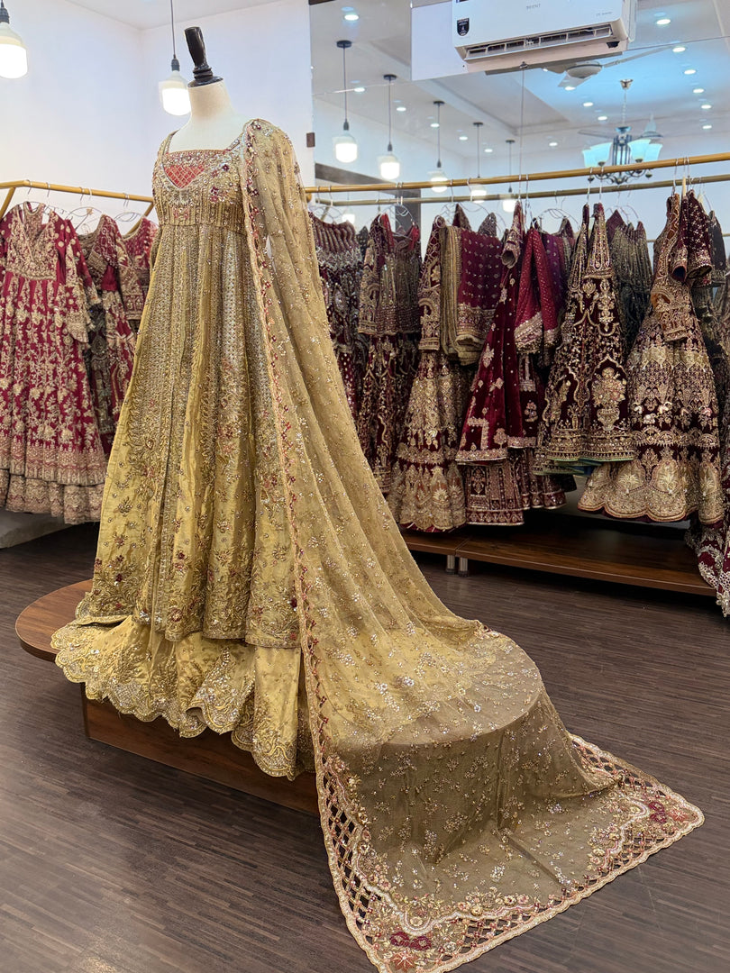 Tena Durrani 2026 | TD-golden - 555)